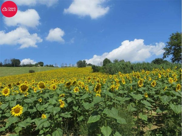 terreno agricolo in vendita a Torre San Patrizio in zona San Venanzo