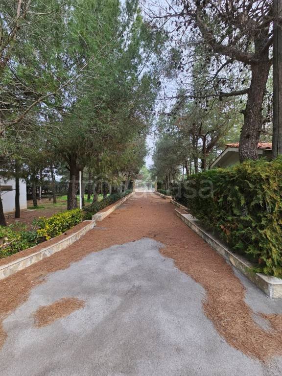 appartamento in vendita ad Andria in zona Montegrosso