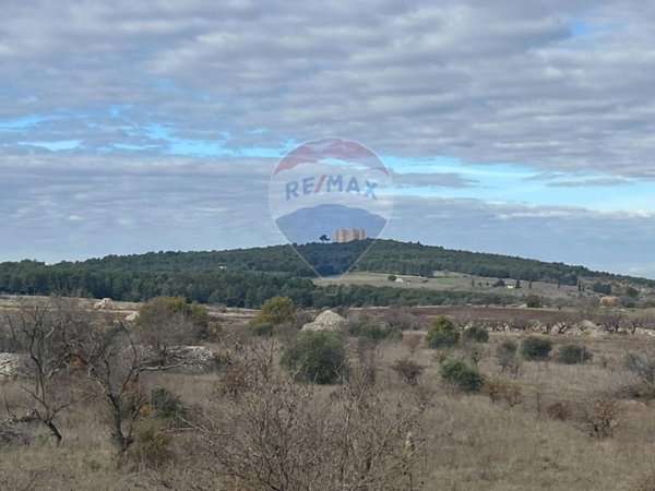 appartamento in vendita ad Andria in zona Castel del Monte