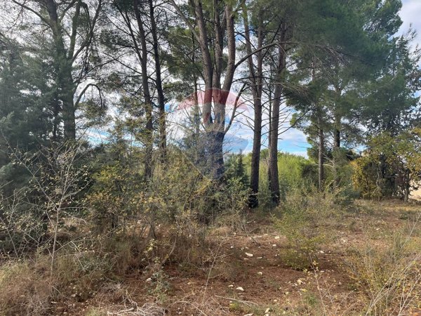 appartamento in vendita ad Andria in zona Castel del Monte