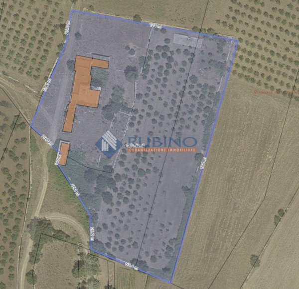 appartamento in vendita ad Andria