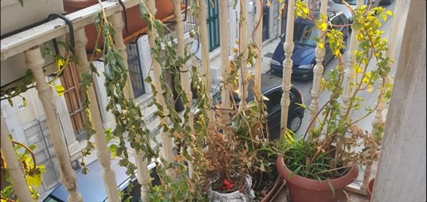 casa indipendente in vendita ad Andria