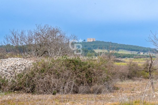 casa indipendente in vendita ad Andria in zona Castel del Monte
