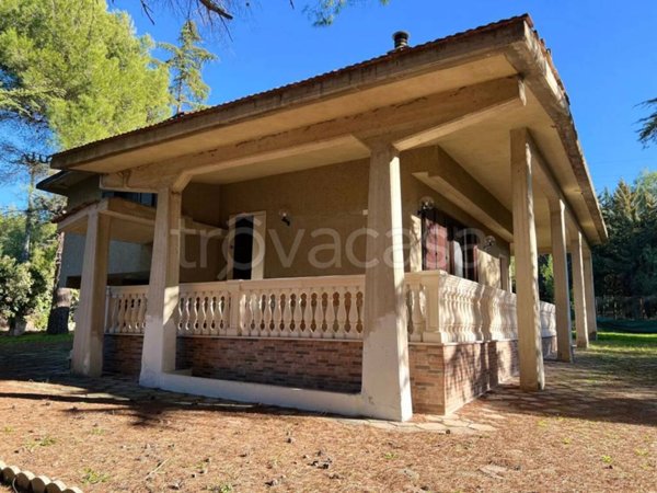 casa indipendente in vendita ad Andria in zona Montegrosso