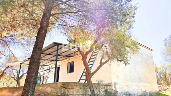 casa indipendente in vendita ad Andria in zona Montegrosso