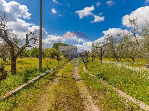 casa indipendente in vendita ad Andria in zona Castel del Monte