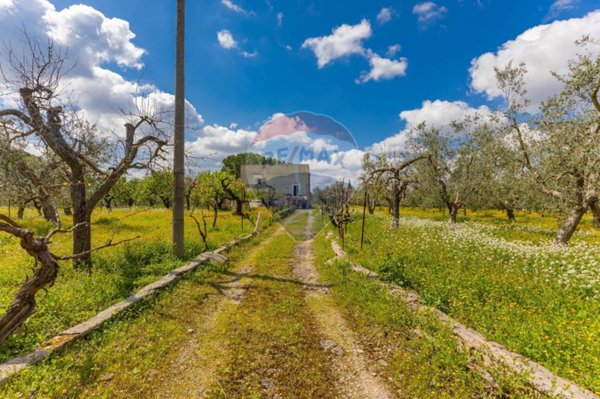 casa indipendente in vendita ad Andria