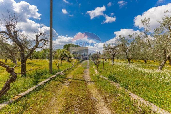 casa indipendente in vendita ad Andria