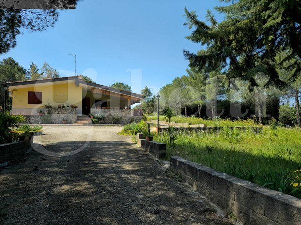 casa indipendente in vendita ad Andria