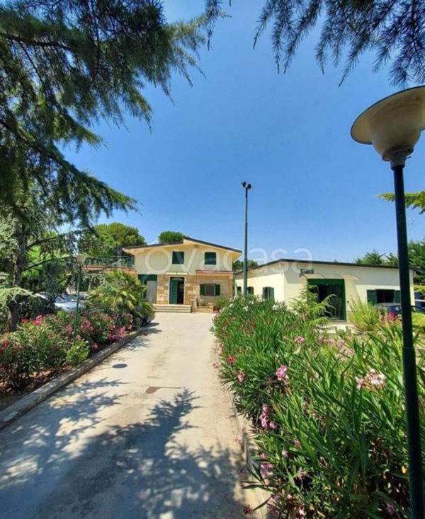 casa indipendente in vendita ad Andria in zona Castel del Monte