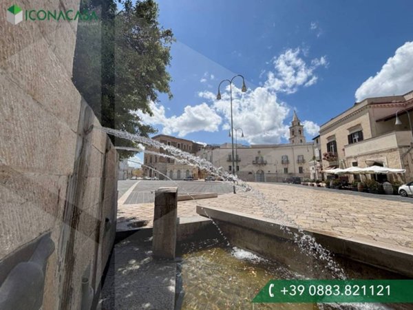 casa indipendente in vendita ad Andria in zona Centro Storico
