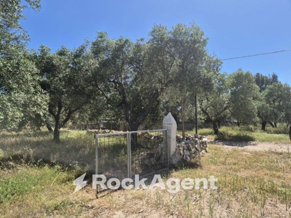 casa indipendente in vendita ad Andria in zona Castel del Monte
