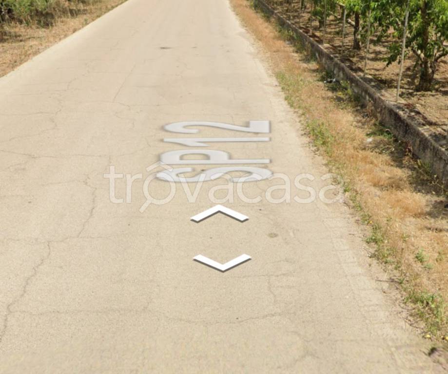 terreno agricolo in vendita ad Andria