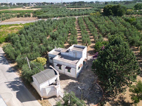 casa indipendente in vendita ad Andria in zona Centro Storico