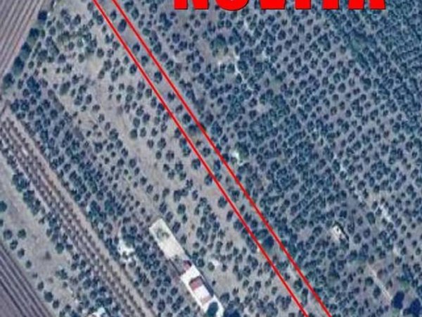 terreno agricolo in vendita ad Andria in zona Montegrosso
