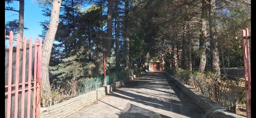casa indipendente in vendita ad Andria in zona Montegrosso