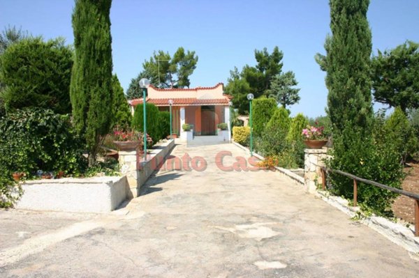 casa indipendente in vendita ad Andria in zona Montegrosso