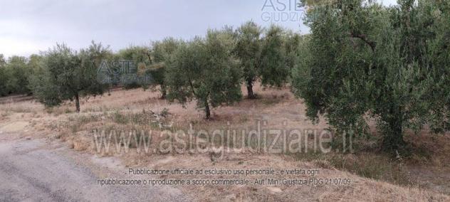 terreno agricolo in vendita ad Andria