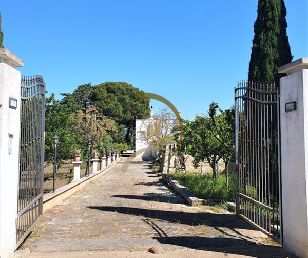casa indipendente in vendita ad Andria in zona Castel del Monte