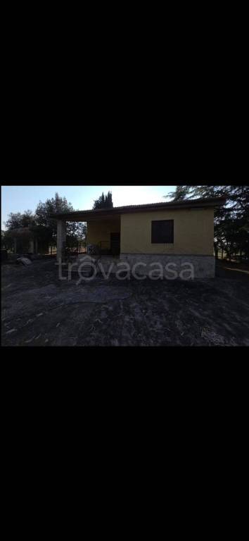 casa indipendente in vendita ad Andria in zona Montegrosso