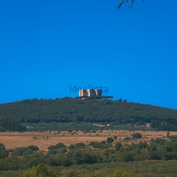 terreno agricolo in vendita ad Andria in zona Castel del Monte