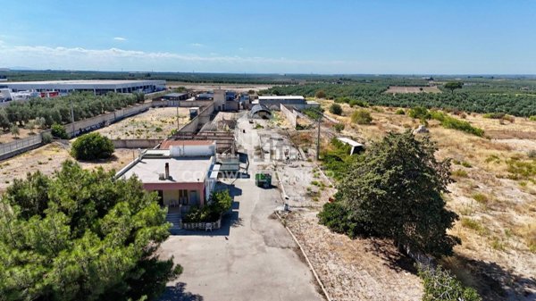 terreno agricolo in vendita ad Andria