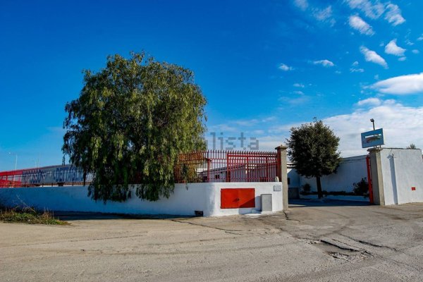 terreno edificabile in vendita ad Andria