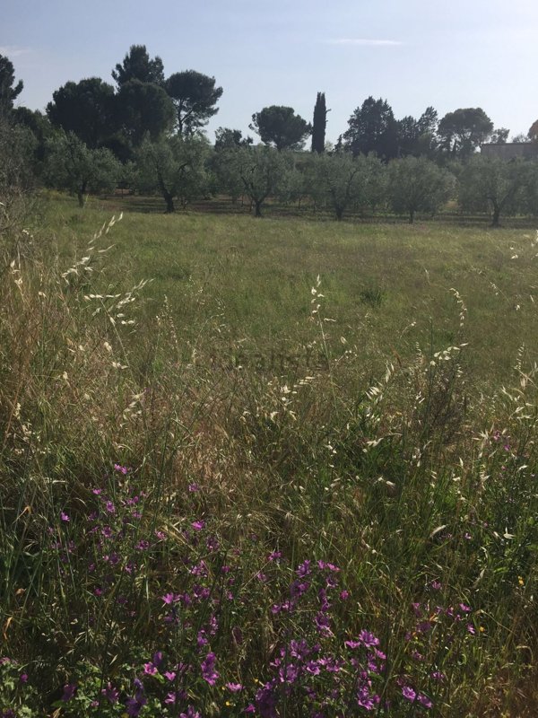 terreno edificabile in vendita ad Andria