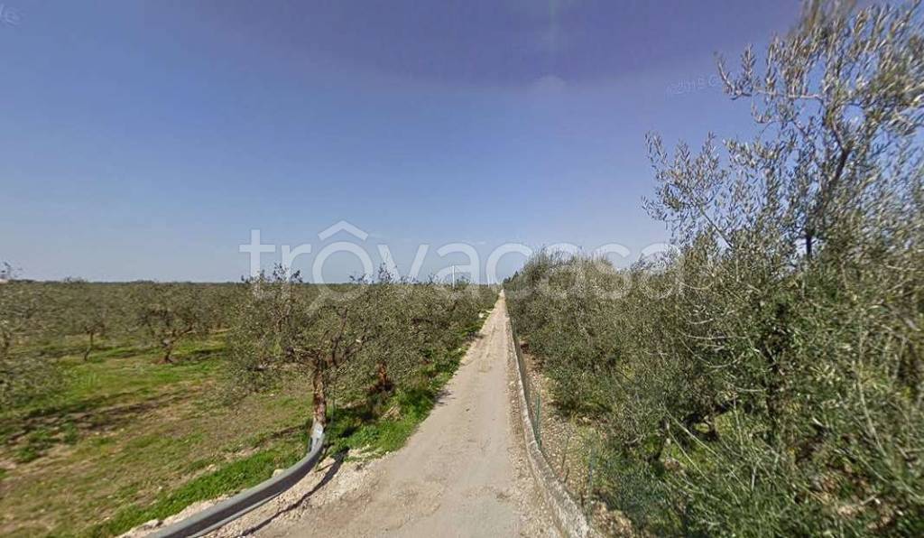 terreno agricolo in vendita ad Andria