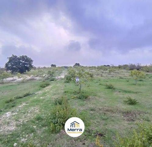 terreno agricolo in vendita ad Andria in zona Montegrosso