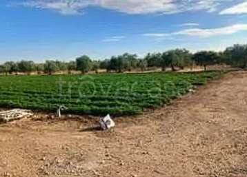 appartamento in vendita ad Andria