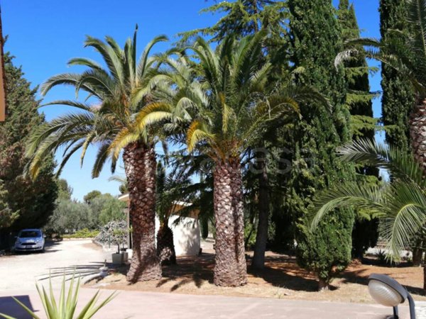 casa indipendente in vendita ad Andria in zona Montegrosso