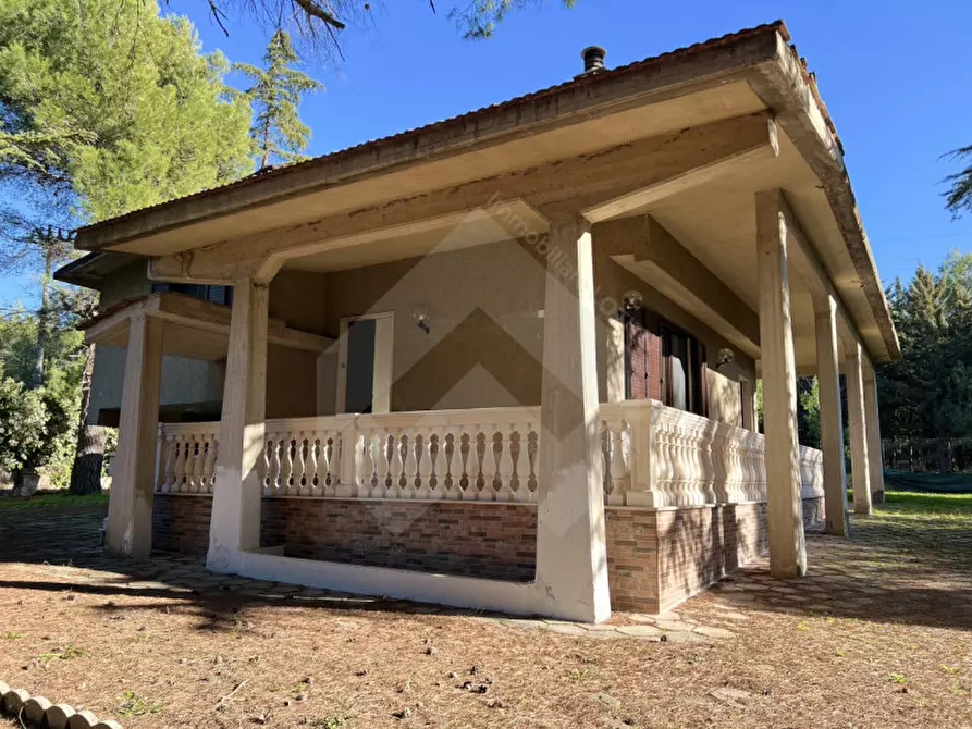 casa indipendente in vendita ad Andria