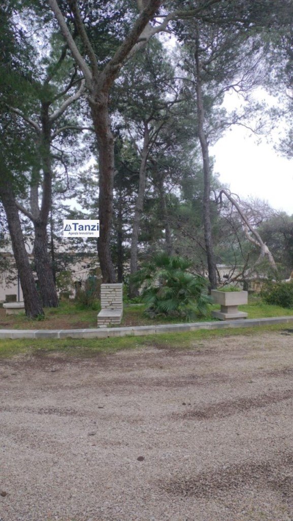 casa indipendente in vendita ad Andria in zona Castel del Monte