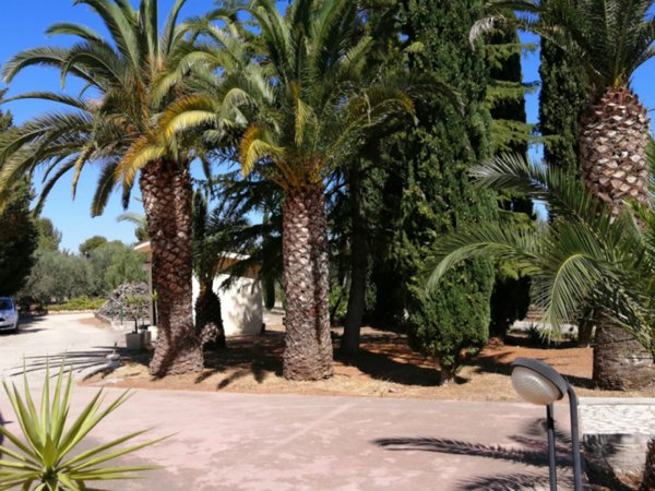 casa indipendente in vendita ad Andria in zona Centro Storico