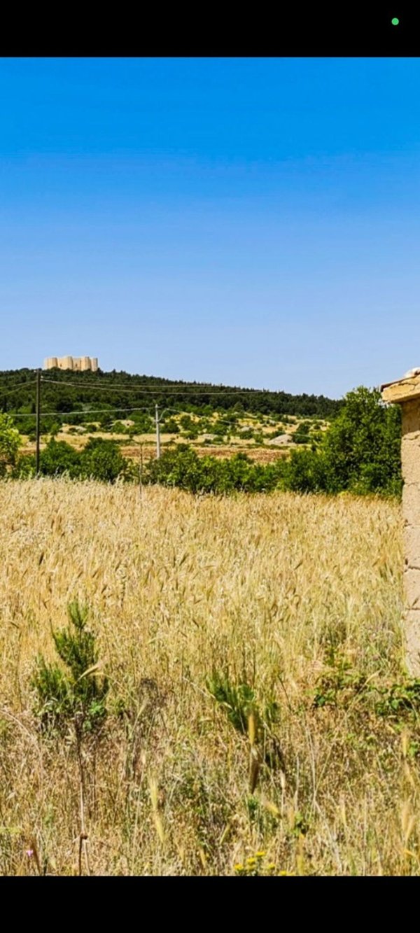 casa indipendente in vendita ad Andria in zona Castel del Monte