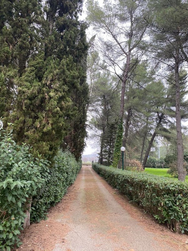 casa indipendente in vendita ad Andria in zona Castel del Monte