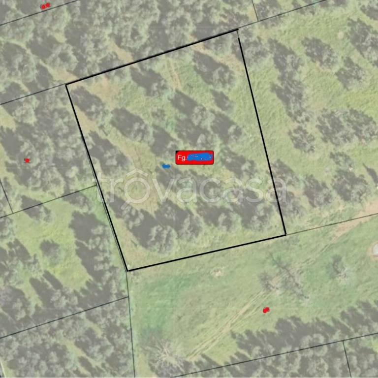 terreno agricolo in vendita ad Andria in zona Castel del Monte