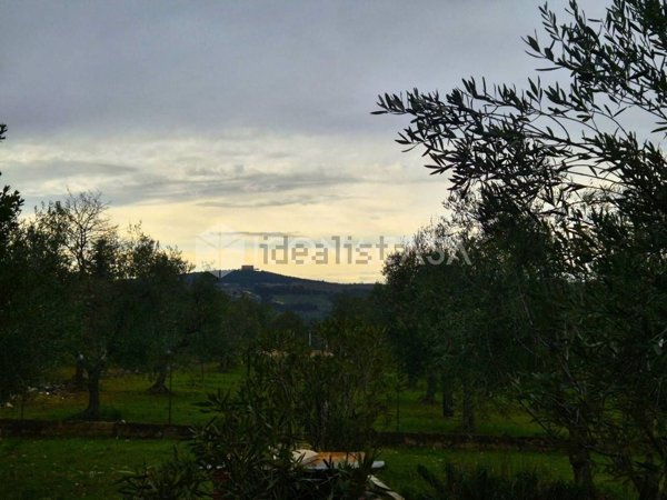 casa indipendente in vendita ad Andria