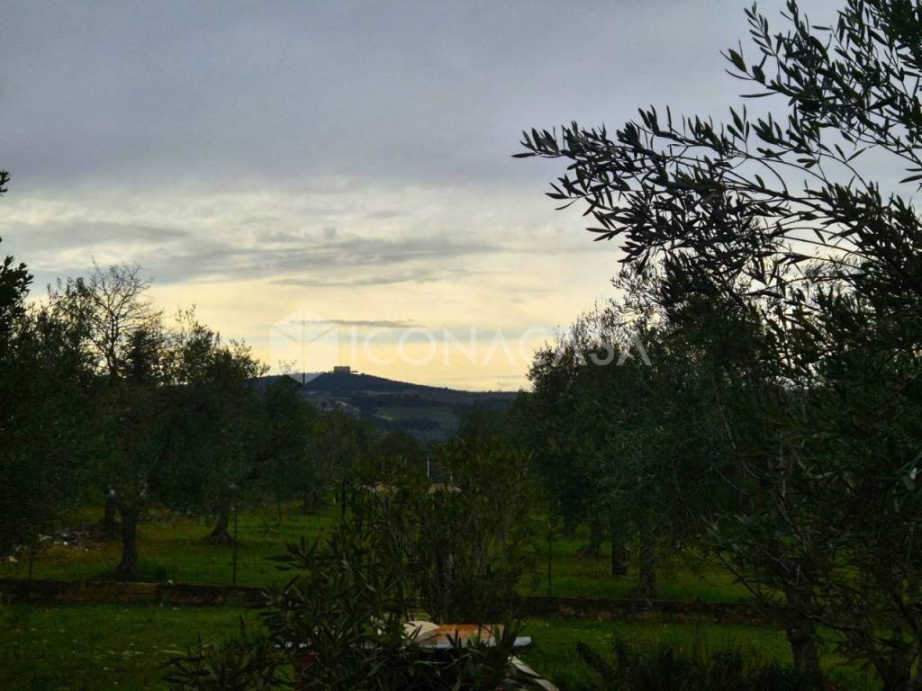 casa indipendente in vendita ad Andria in zona Montegrosso