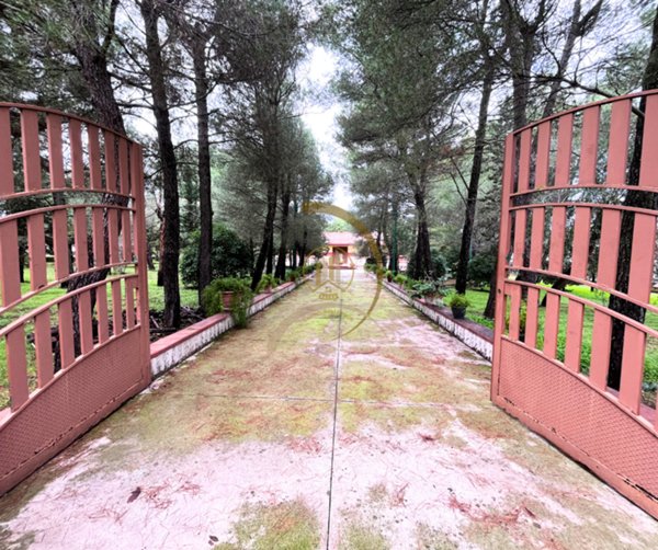 casa indipendente in vendita ad Andria in zona Castel del Monte