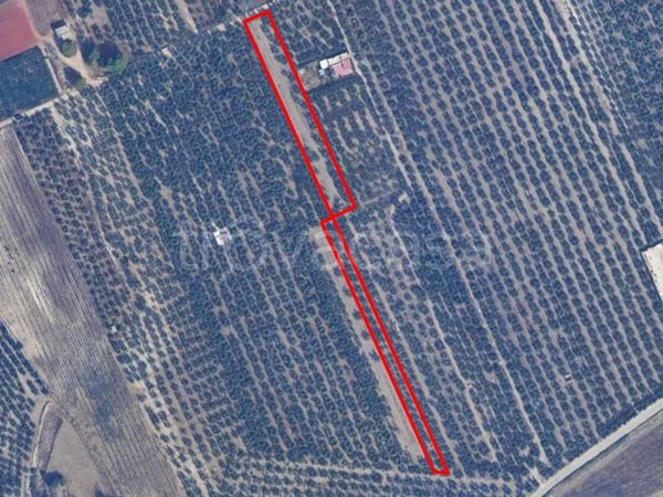 terreno edificabile in vendita ad Andria in zona Montegrosso