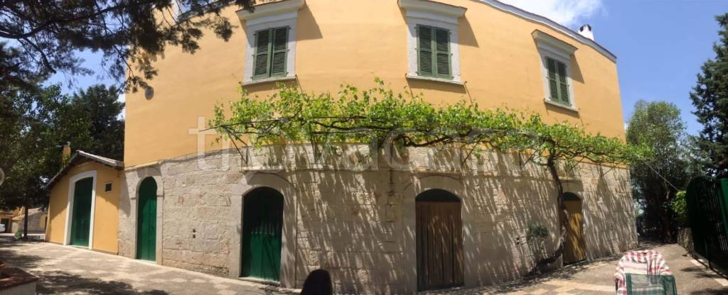 casa indipendente in vendita ad Andria in zona Montegrosso