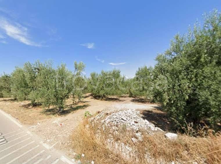 appartamento in vendita ad Andria in zona Montegrosso