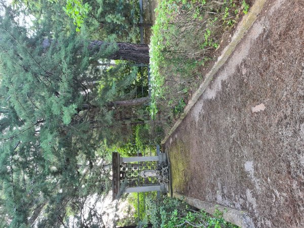 casa indipendente in vendita ad Andria in zona Castel del Monte