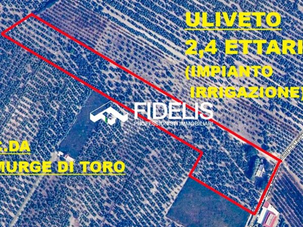 terreno agricolo in vendita ad Andria in zona Castel del Monte