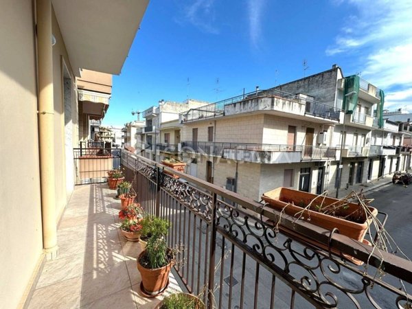 casa indipendente in vendita ad Andria in zona Centro Storico