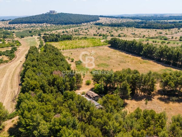 casa indipendente in vendita ad Andria in zona Castel del Monte