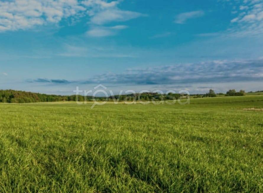 terreno agricolo in vendita ad Andria in zona Castel del Monte
