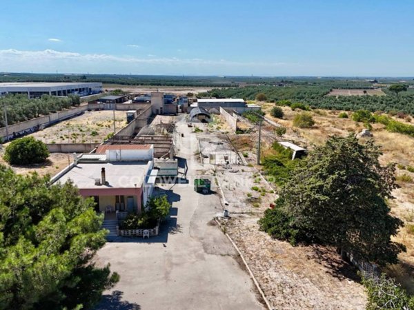 terreno agricolo in vendita ad Andria